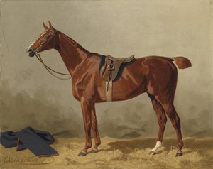 鞍スポーツ馬 作： Emil Volkers